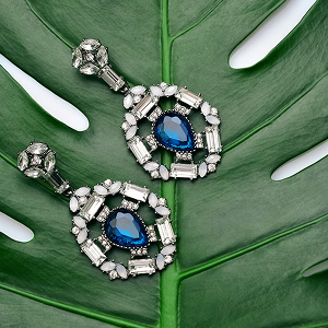 Earrings Earrings